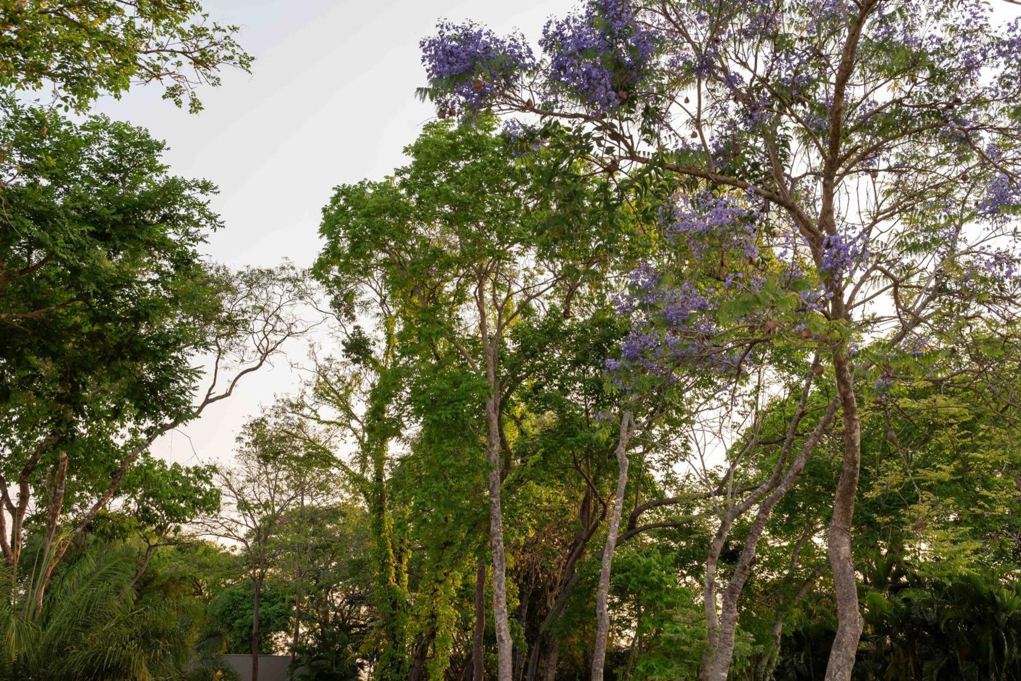 Agua Milagrosa Cuiabá